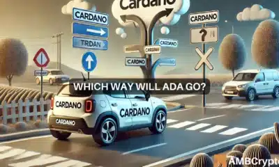 Cardano's next steps - Seller, holders, and how both can affect ADA's price