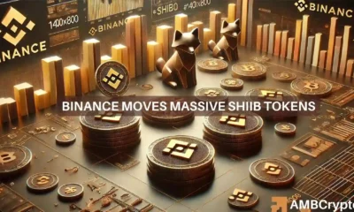 Massive Binance transfer of 137 billion SHIB tokens sparks speculation