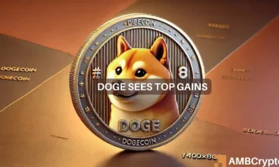 Dogecoin's 7% hike leaves 73% addresses in profit - More incoming?