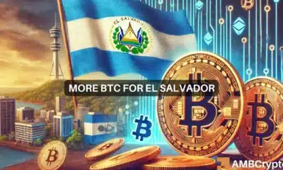 1 BTC a day! El Salvador's Bitcoin buying spree goes on and on because...