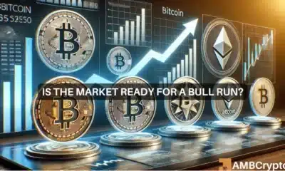 crypto bull run