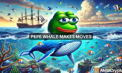 Why PEPE's whale movements may not help the memecoin's price