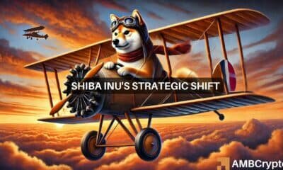 Shiba Inu