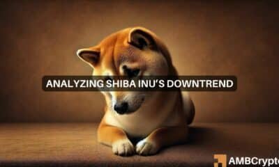 Shiba Inu