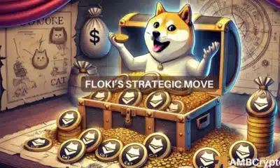 FLOKI CAT STRATEGY