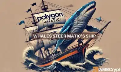 Polygon drops 20% in a week - Are MATIC whales to blame?