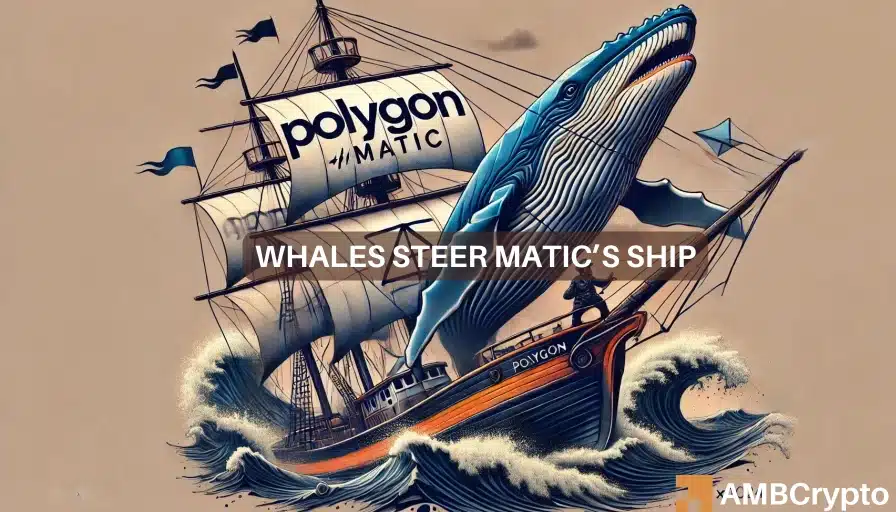 Polygon drops 20% in a week - Are MATIC whales to blame?