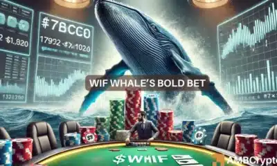 dogwifhat struggles despite whale moves: Why WIF has a tough road ahead