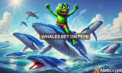 PEPE whales accumulate despite losses - Should you follow suit?