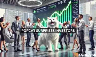 POPCAT surprises investors