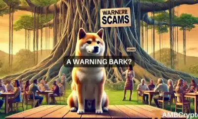 Why whales are holding on to SHIB as scam fears hit Shiba Inu's price