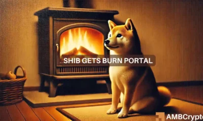 Examining the impact of Shiba Inu's latest burn portal on SHIB's price