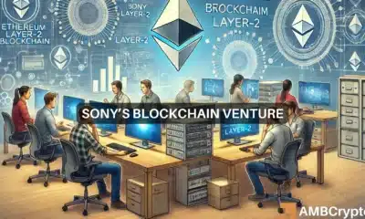 Sony's Soneium Minato testnet and developer incubator - Explained