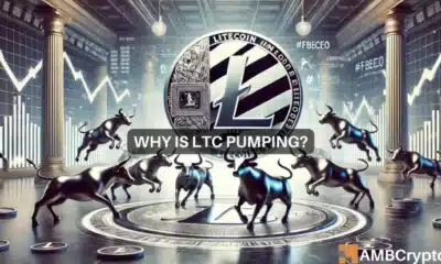 How Litecoin 'decoupled' from Bitcoin, Ethereum to hike in last 24 hours