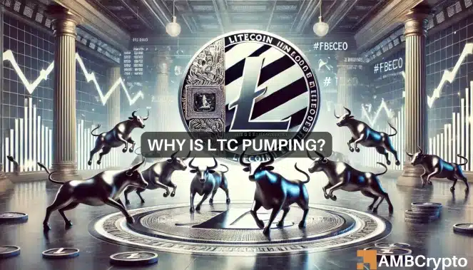 How Litecoin 'decoupled' from Bitcoin, Ethereum to hike in last 24 hours