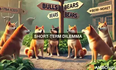 Shiba Inu price prediction - Here's where SHIB traders should be careful now!