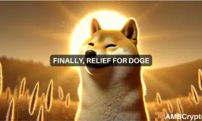 Is Dogecoin's recovery coming? Bullish indicators emerge