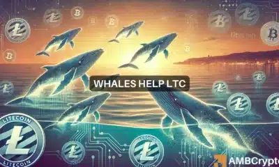 Whales help Litecoin surge 10.32% - Will LTC rally another 40%?