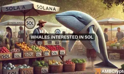 Solana whale moves 8 mln SOL as prices remain stagnant - Breakout next?