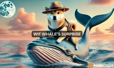 dogwifhat whale buys 1.5 mln tokens - Is it a sign of WIF turning bullish?