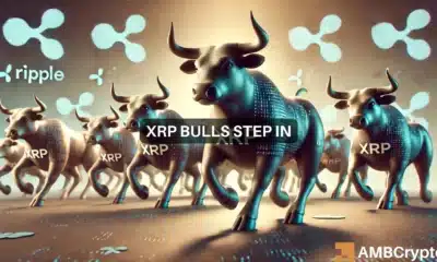 XRP's bulls emerge: Is a rally towards $0.64 on the horizon?